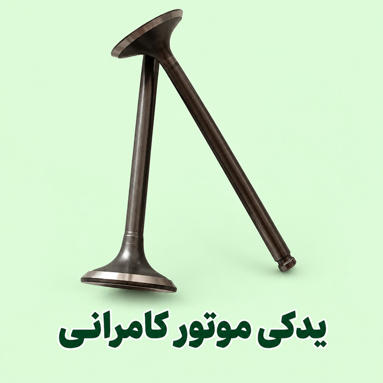 سوپاپ موتور سیکلت مگلی۲۰۰ اصلی ( دو عدد )